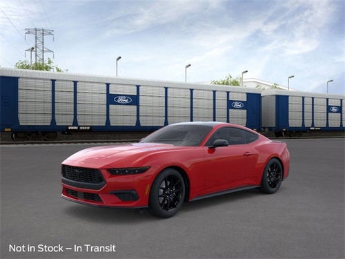 2026 Ford Mustang EcoBoost INTRANSIT