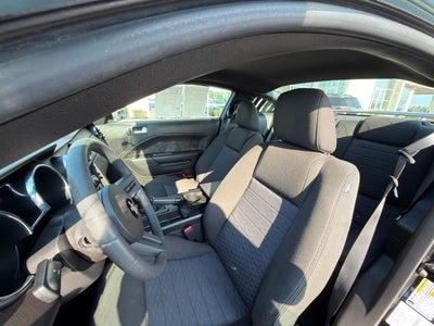 2009 Ford Mustang Base