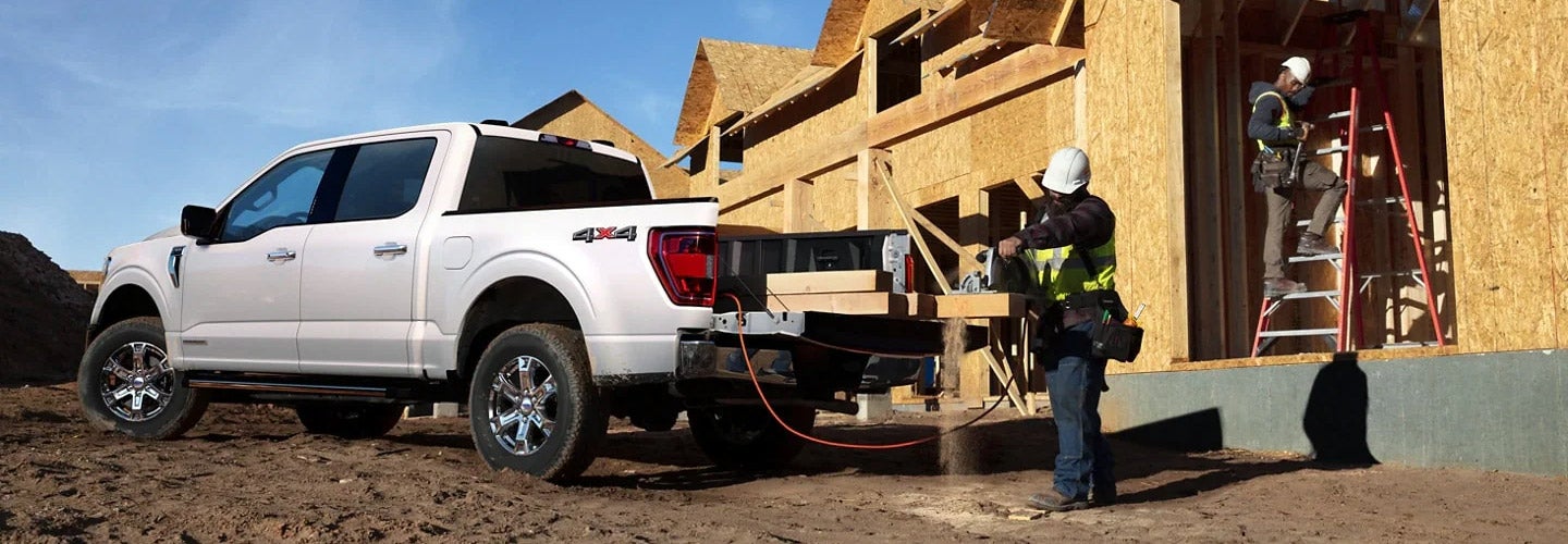 Lineup of Ford F-150 trucks